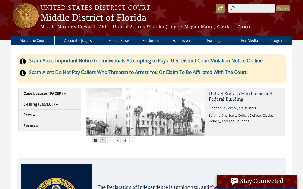 Federal criminal court case access near Pinellas County